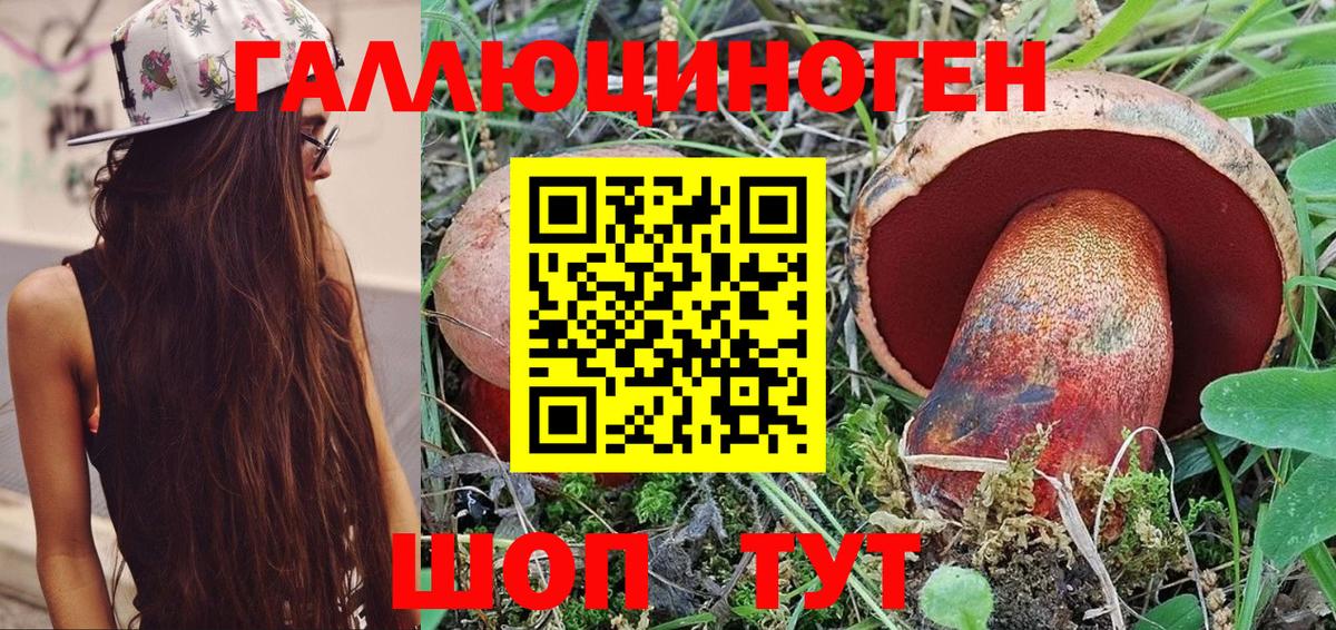 Галлюциногенные грибы GOLDEN TEACHER  Вход с VPN  Кашира 