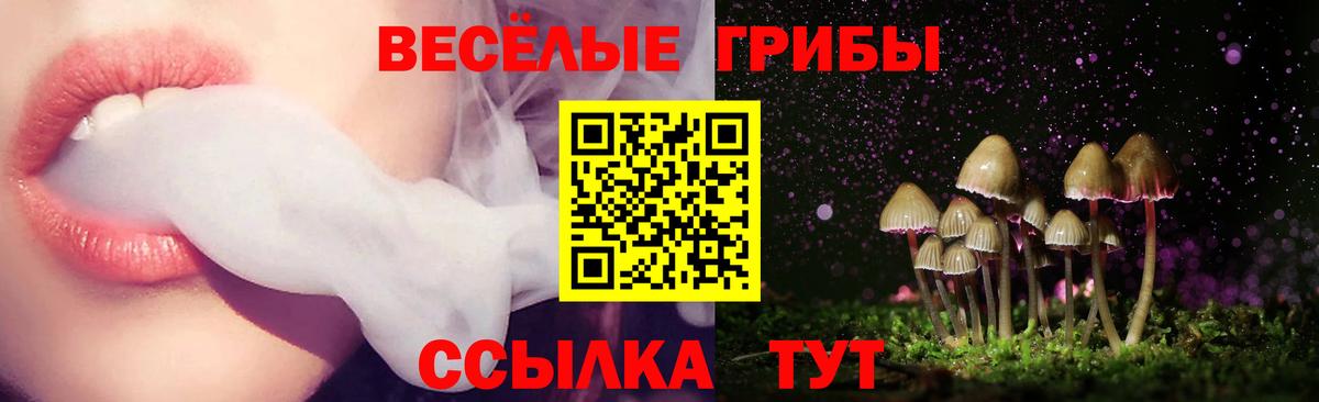 Галлюциногенные грибы мухоморы Кашира