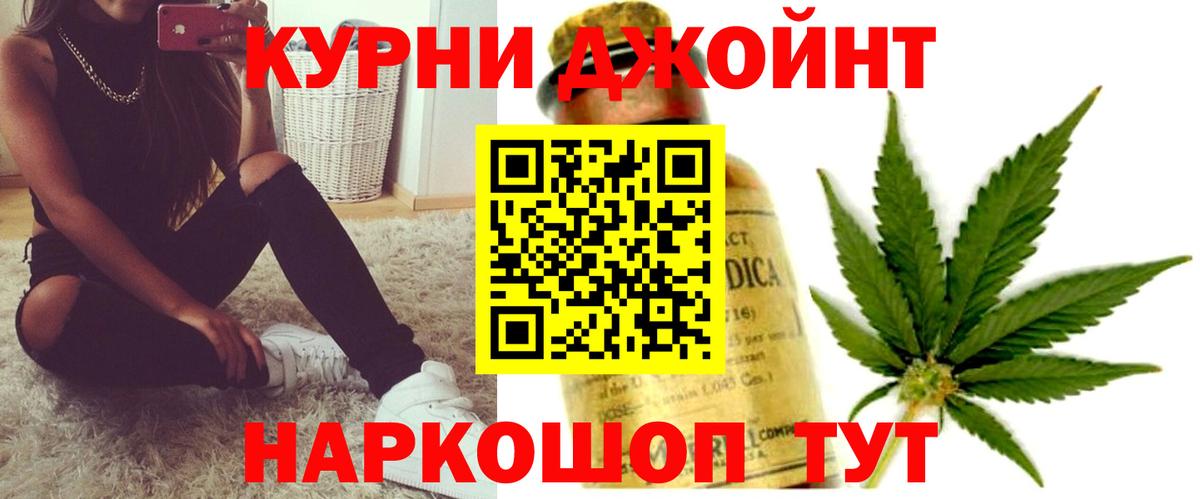 Каннабис индика Кашира